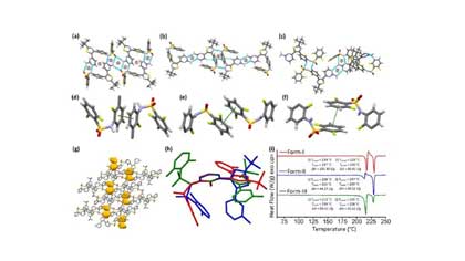 Polymorphs, Solvatomorphs and Hydrate of Dabrafenib