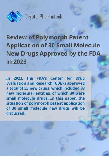 Review of Polymorph Patent Application of 30 Small Molecule New Drugs Approved by the FDA in 2023