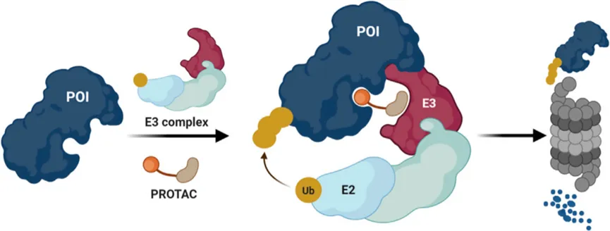 Introduction.png Introduction.png